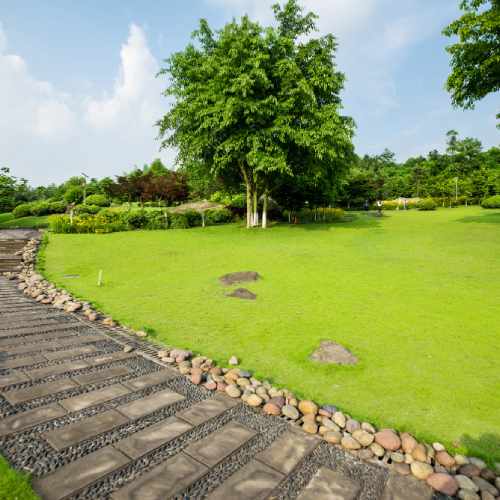 lawn-design